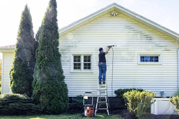 Professional Pressure Washing in Belle Chasse, LA